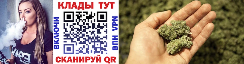 Где купить наркоту Светлоград ГАШИШ  Галлюциногенные грибы  Меф  Конопля  A-PVP 