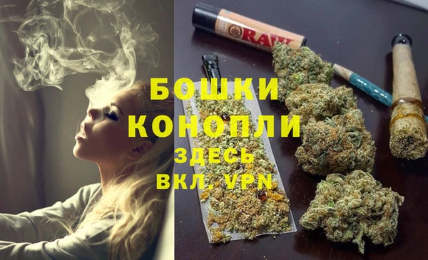 ГАЛЛЮЦИНОГЕННЫЕ ГРИБЫ Пестово