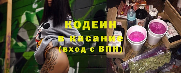 меф Пересвет