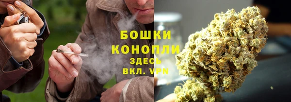 меф Пересвет