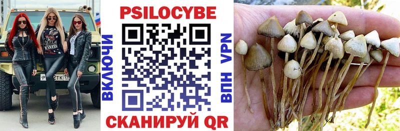 Псилоцибиновые грибы MAGIC MUSHROOMS darknet наркотические препараты Светлоград где продают наркотики
