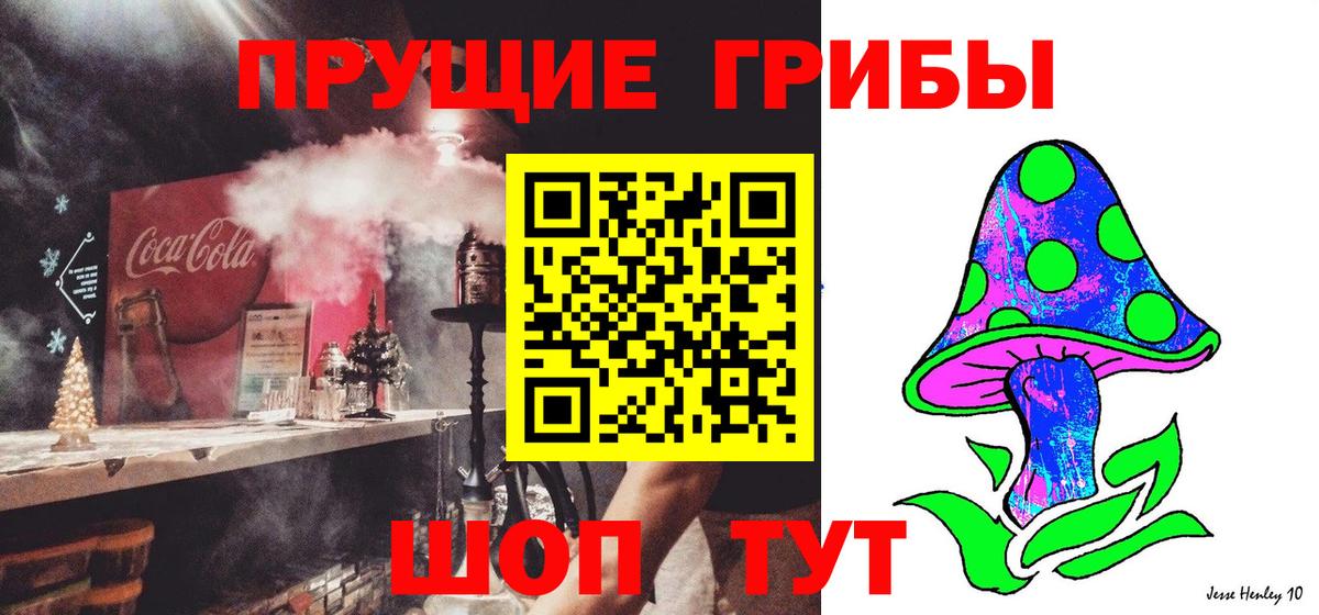 цена наркотик  Галлюциногенные грибы мицелий  Псилоцибиновые грибы Psilocybine cubensis  Вход с VPN  Светлоград 